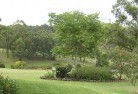 Dhuragoonresidential-landscaping-40.jpg; ?>
